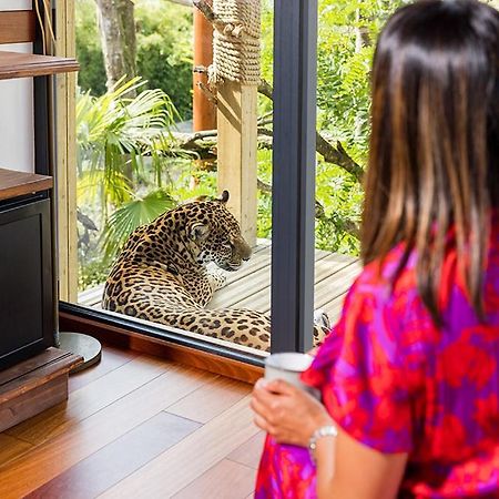 Parrot World - Les Lodges Crecy-la-Chapelle ภายนอก รูปภาพ