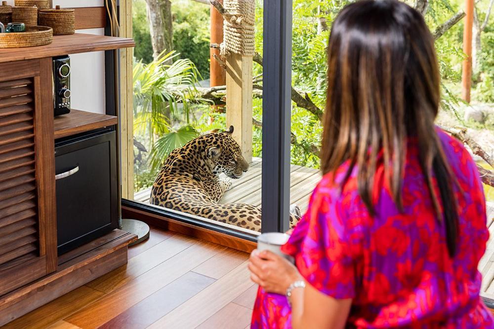 Parrot World - Les Lodges Crecy-la-Chapelle ภายนอก รูปภาพ