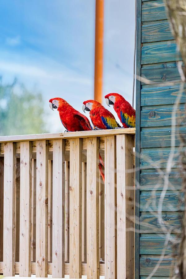 Parrot World - Les Lodges Crecy-la-Chapelle ภายนอก รูปภาพ