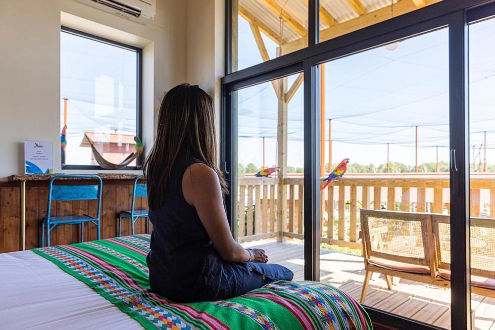 Parrot World - Les Lodges Crecy-la-Chapelle ภายนอก รูปภาพ